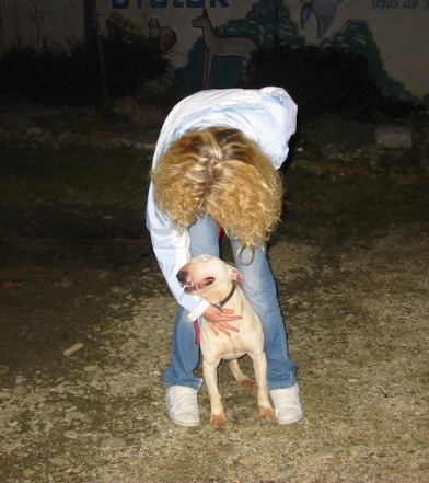 bulty-N4.jpg